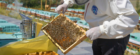 Arıcılık Araştırma, Üretim ve Eğitim Merkezi Hayata Geçti