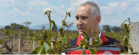 Bağlar Sahipsiz Bırakılmamalıdır!