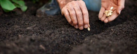 Çiftçi, Sattığının Üstünde Bir Fiyatla Tohum Alıyor