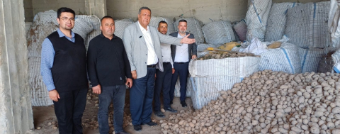 Depolarda ki Patates Hayvan Yemi Oldu