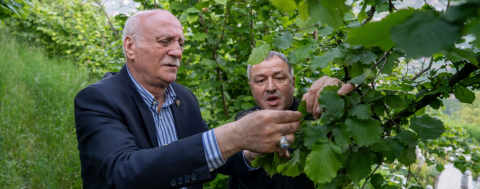 Don Zararı Ülke Ekonomisine Zarar Verecek
