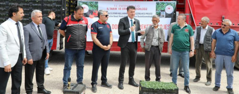 Eskişehir'de Domates Şenliği 