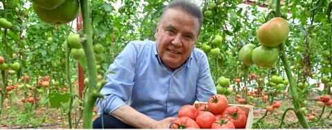 Festival Domates Hasadı İle Başladı