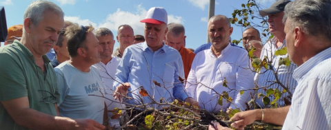 Fındık Kuraklık Vurgunu Yedi!