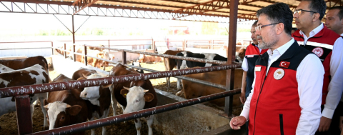 Güçlü Besi Güçlü Üretim Projesi Başlıyor 