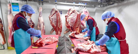 Günde 120 Büyükbaş Hayvan İşleniyor