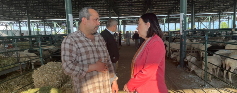 Hayvancılık Can Çekişiyor!