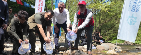 Kirazdere’ye İki Yılda 16 Bin Alabalık Salındı