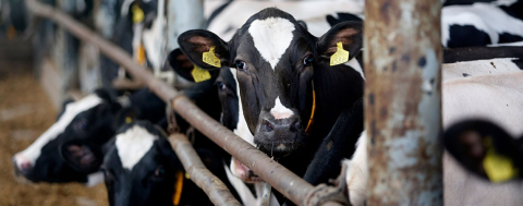 Kış Kapıda, Tedbirler Alın! 