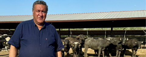 Manda, İklim Değişikliğinin Kurbanlarından Biri