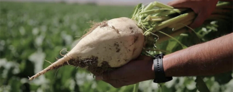 Pancar Avans Ödemeleri Yapıldı