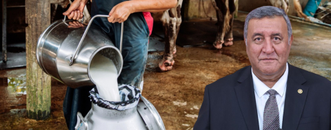 Raftaki Süt Zamlanacak, Üretici Bekleyecek!