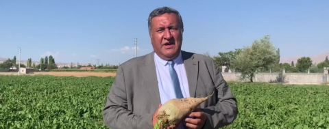 Şekerpancarı Alım Fiyatı Çiftçiyi Mutlu Etmedi