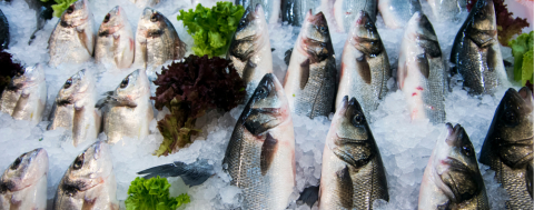 Su Ürünleri Sektörü 143 Milyon Dolarlık İhracatla Gurur Verdi