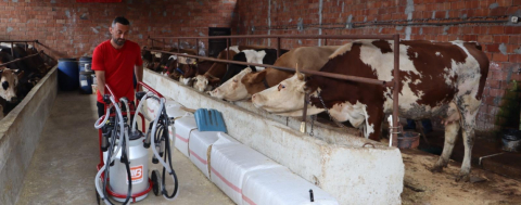 Sütün Değeri Artıyor, Üreticinin Yüzü Gülüyor