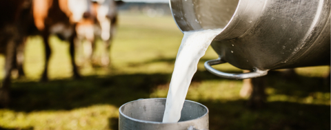 USK Çiğ Süt Alım Fiyatını Belirledi