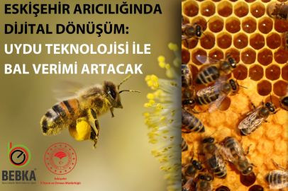 Eskişehir Arıcılığında Dijital Dönüşüm