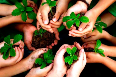 Kooperatiflere Kredi Desteği