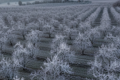 1.7 Milyon Liralık Destekleme Ödemesi Yapıldı