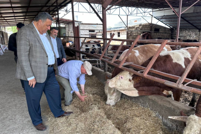 CHP’li Gürer: ''Asgari Ücret Cebe Girmeden Et Fiyatı Arttı''