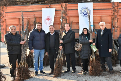 Cevizin Başkentinde Ceviz Fidanı Dağıtımları Sürüyor