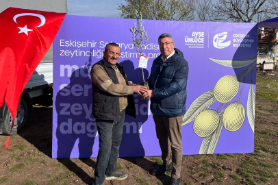 Üreticilere Mavi Sertifikalı Zeytin Fidanları Dağıtıldı