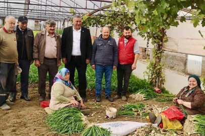 CHP'li Gürer: "2025 Tarım Sektörü İçin Kara Bir Yıl Oldu"