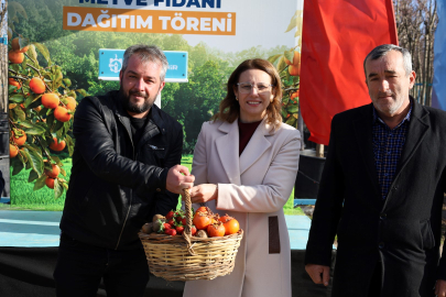 Üreticilere 3 Bin 600 Trabzon Hurması Fidanı