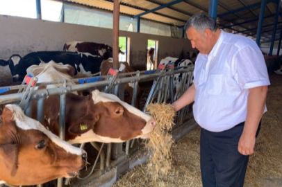 2021’den Bu Yana Et İthalatı 46 Katına Ulaştı!