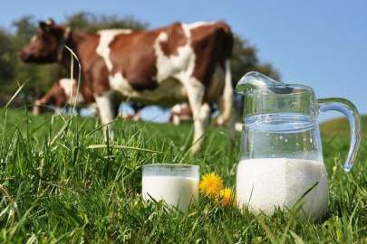 TÜSEDAD'dan Ulusal Süt Konseyi’ne Çağrı