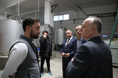 Sarıcakaya'da Zeytin ve Zeytinyağı Üretimi Hızla Artıyor