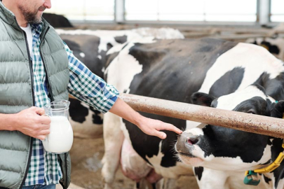 TÜSEDAD 1 Litre Sıcak Çiğ Sütün Maliyetini Açıkladı