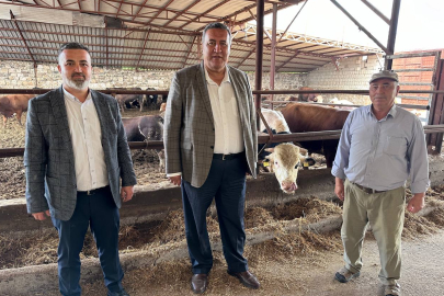 USK'nın Çiğ Süt Tavsiye Fiyatı Maliyet Fiyatının Altında