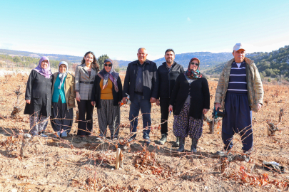 Organik Tarım Sertifikasyon Desteği Üreticinin Yüzünü Güldürüyor