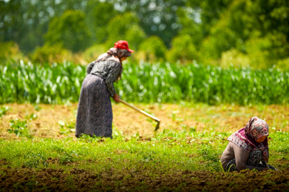 Tarımsal Üretime Geniş Kapsamlı Destek