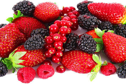 Üreticiye Katkı Sunan Tarım Eğitimi