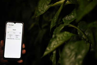 Sera Üreticisinin Don Nöbeti Tarih Oldu