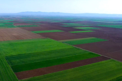 Alpu Ovası İçin Tarihi Bir Karar Daha