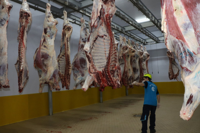 Kasapların Tercihi Büyükşehir Mezbahası