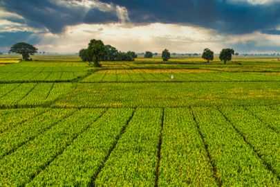 Destekleme Ödemeleri Yapılıyor