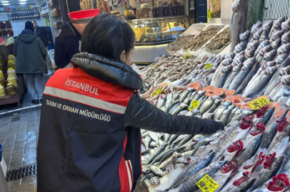İstanbul'da Su Ürünlerine Eş Zamanlı Denetim