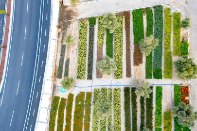 İzmir’in Renkleri Büyükşehir Fidanlıklarında Filizleniyor