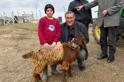Gürer: ''Meralarda Hayvan Sürülerinin Yerini Sessizlik Alıyor''