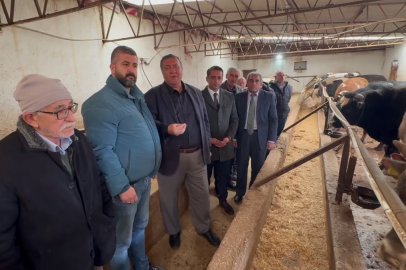 Hayvan Varlığı Eriyor, İthalata Kapı Açılıyor!