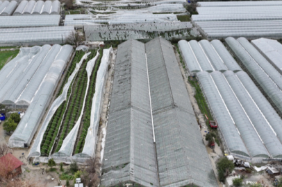 Bakan Yumaklı Sel ve Hortumdan Etkilenen Üreticilerle İlgili Açıklama Yaptı