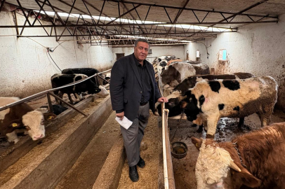 Gürer: "Şap Hastalığı Hayvancılığı Vuruyor!"