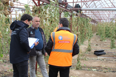 Finike’de Hortumdan Zarar Gören Seralarda Hasar Tespiti Başladı
