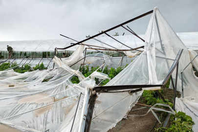Seraları Zarar Gören Üreticilerimizin Yanındayız