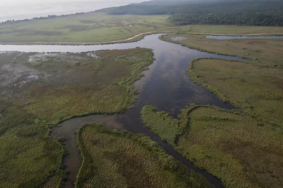 Doğal Yaşamın Sürdürülebilirliği İçin Çalışıyoruz