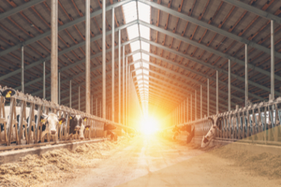 IPARD III Kapsamında 1,7 Milyar Lira Hibe Verilecek